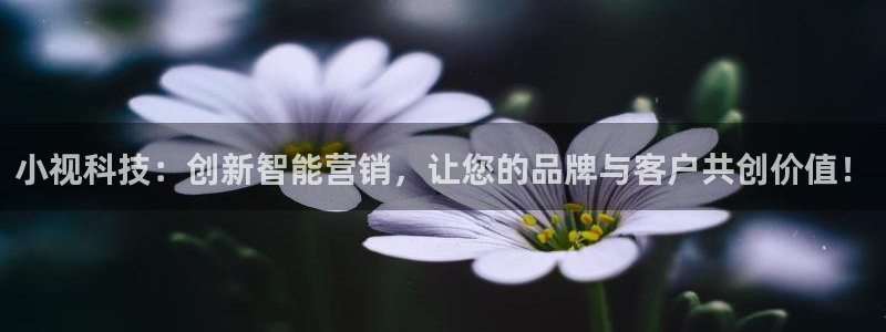金年会官方入口2023