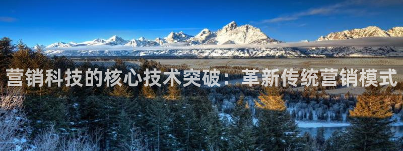 金年会体育是黑台子吗