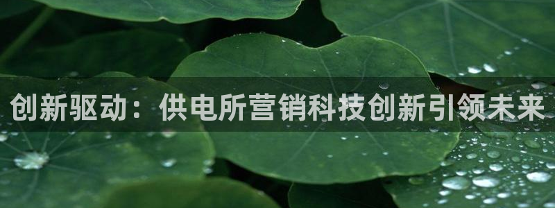 金年会体育信誉怎么样