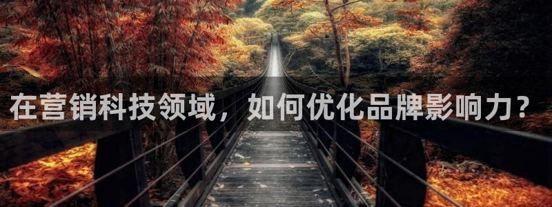 金年会下载官网app