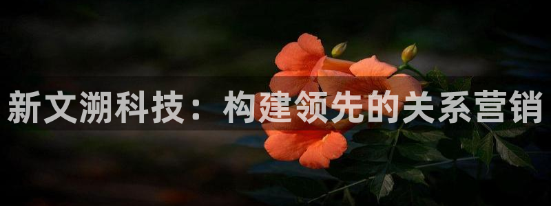 金年会体育app官网入口