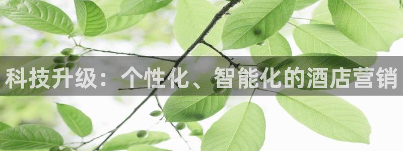 金年会体育app