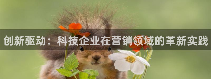 金年会体育官方app下载