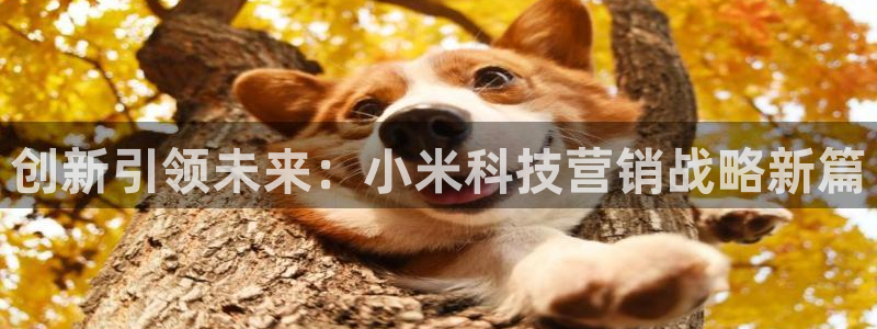 金年会体育app官网86