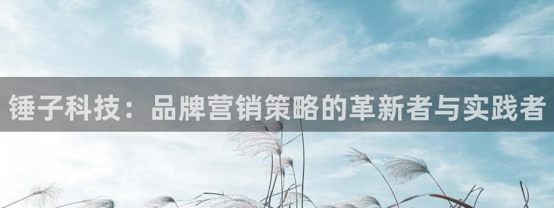 金年会体育app属于正规平台吗