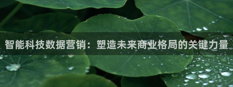 金年会黑平台不给出款
