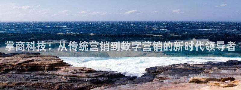 金年会体育是黑台子吗