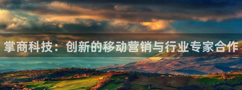 金年会黑平台不给出款