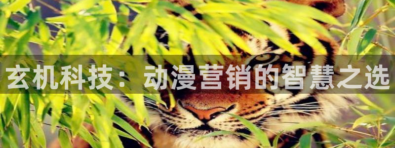 金年会pg电子官网首页