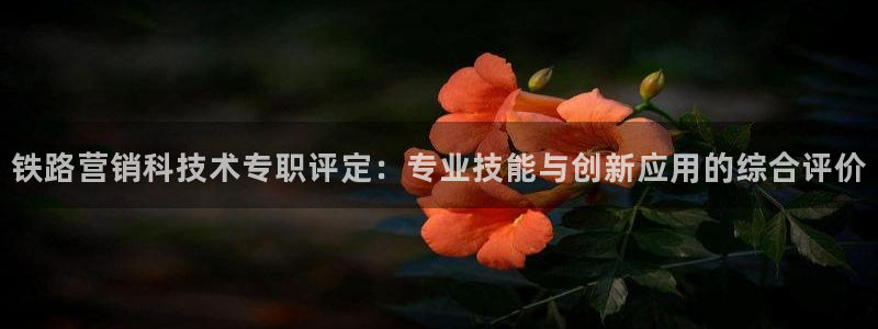 金年会提现不了