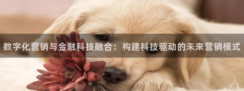 金年会体育官网