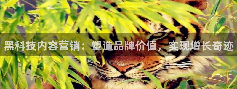 金年会体育官方