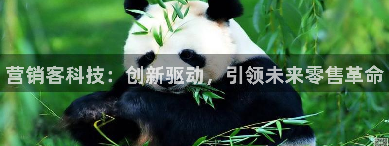 金年会金字招牌至上技术有限公司