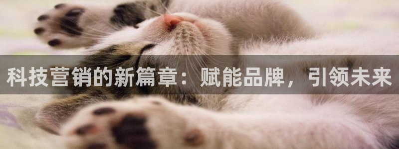 金年会app官方网站入口在哪