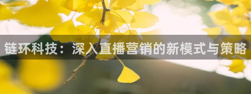 金年会体育app最新下载