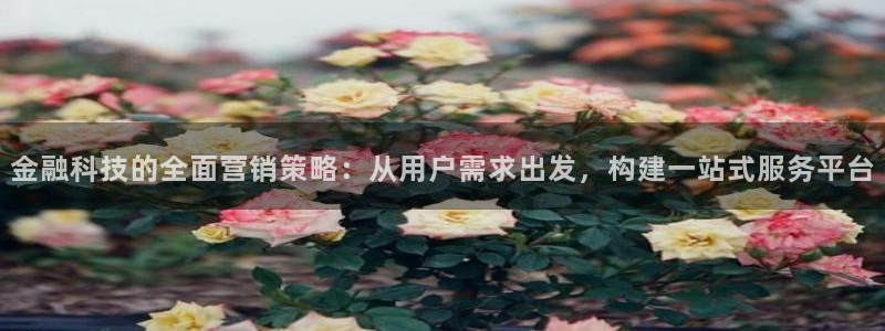 金年会信誉第一 百家号