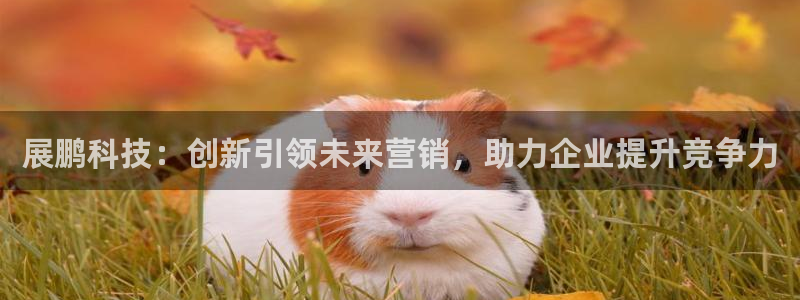 金年会官方在线入口网址是多少号
