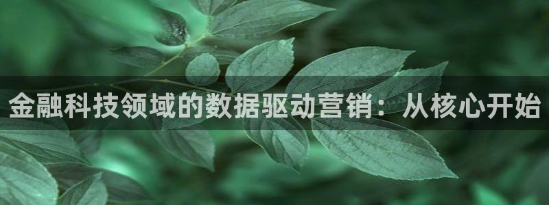 金年会金字招牌