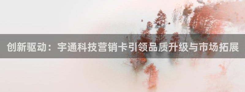 今年会金年会