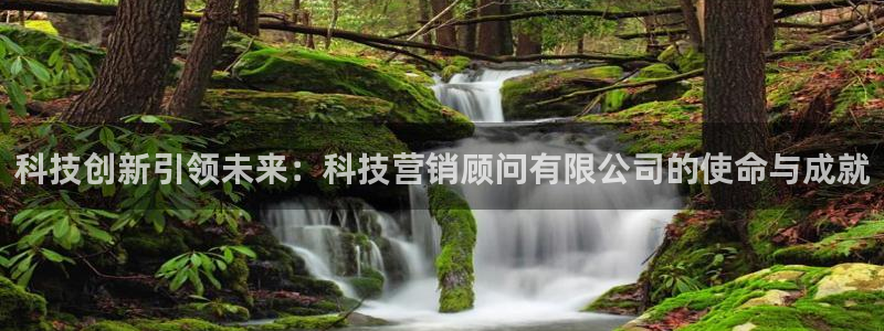 金年会电子游戏app官方入口网站