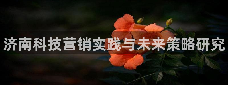 金年会电子游：济南科