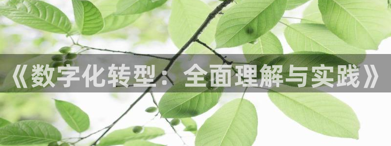 金年会体育网app下载