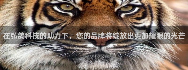 金年会是不是黑平台：