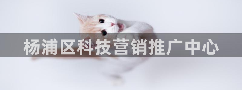 金年会体育app属于正规平台吗