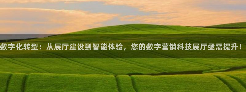 金年会体育app属于正规平台吗