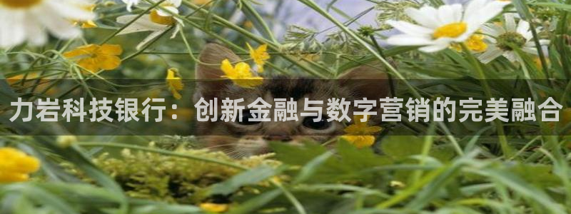 金年会信誉至上金字招牌