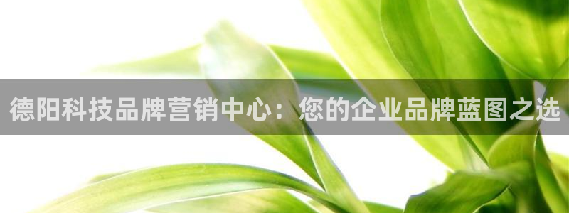 金年会体育网app下载