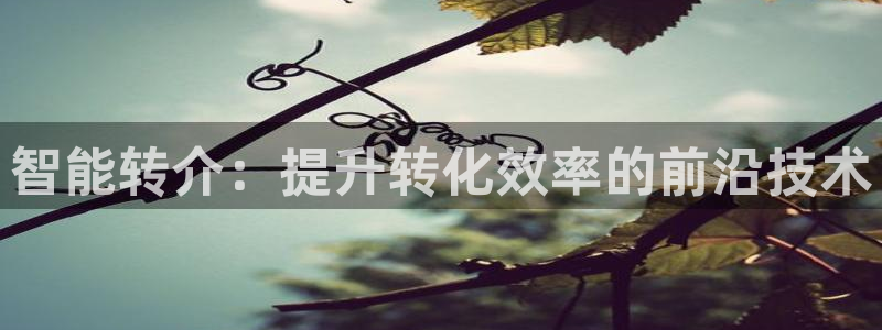 金年会vip888