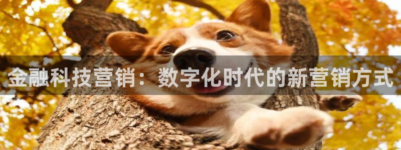 金年会体育官方