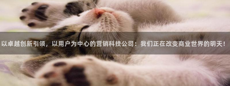 金年会体育中国官方网站