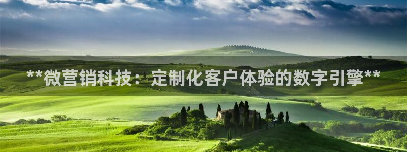 金年会体育app下载官网苹果手机