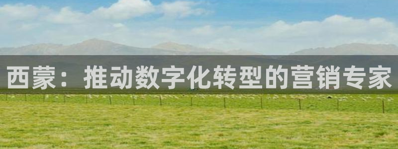 金年会官方网站入口a