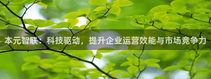 金年会官方app下载