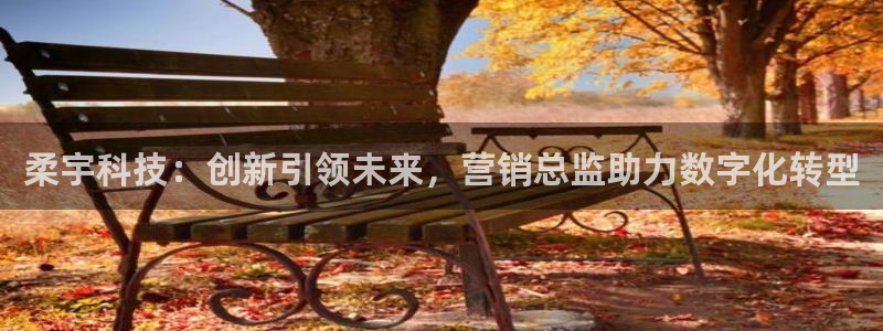 金年会体育平台官网下