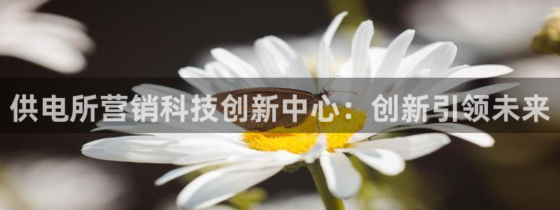 金年会是不是黑平台