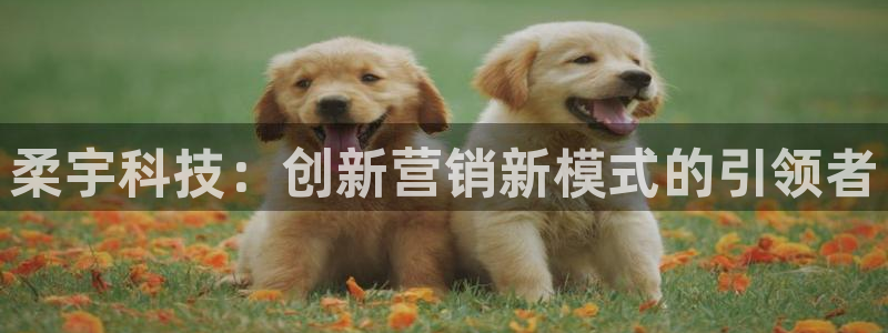 金年会官方登录入口手