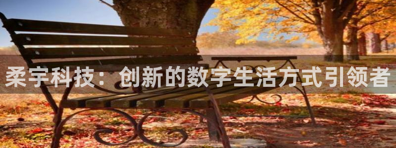 金年会网登录平台入口