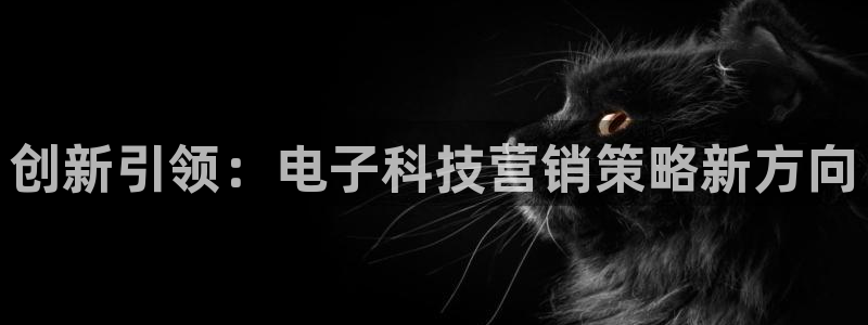 金年会金字招牌登录入口评测