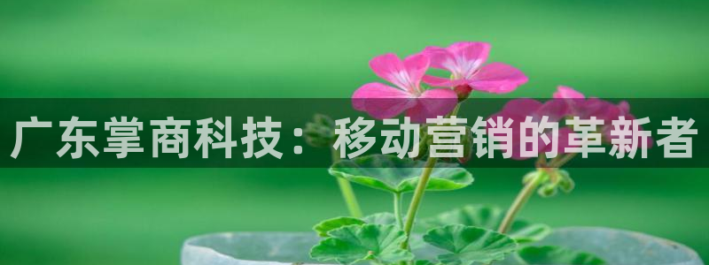 金年会官方在线登录网址是多少号