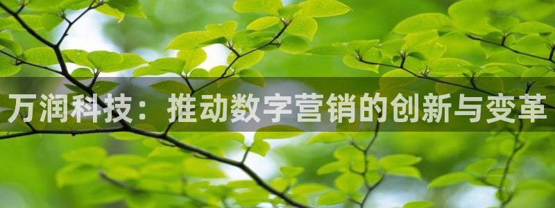 金年会手机版登录