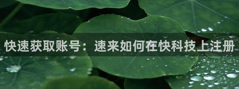 金年会官方登录入口手机版下载