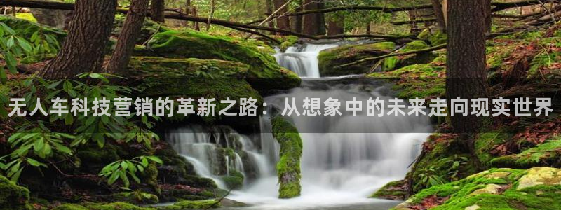 金年会官方网站入口登录网址是多少