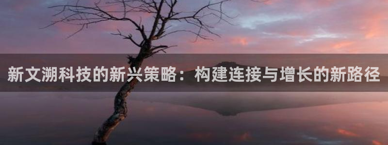 金年会体育注册