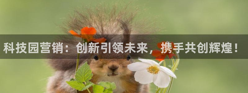 金年会官方在线登录