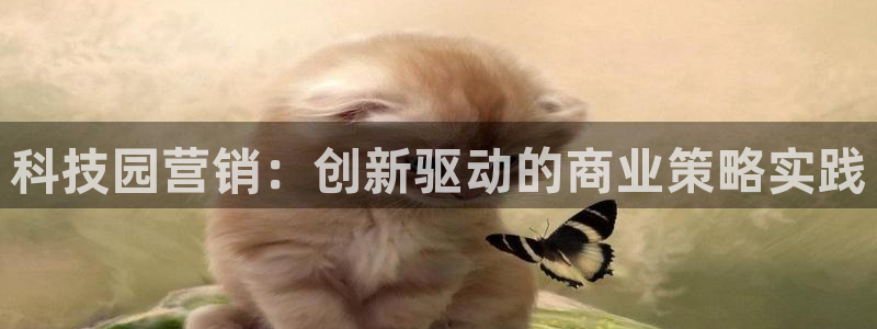 金年会网站登录