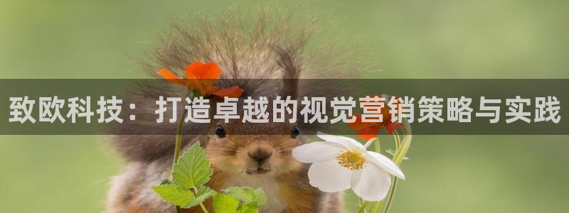 金年会官方网址是什么